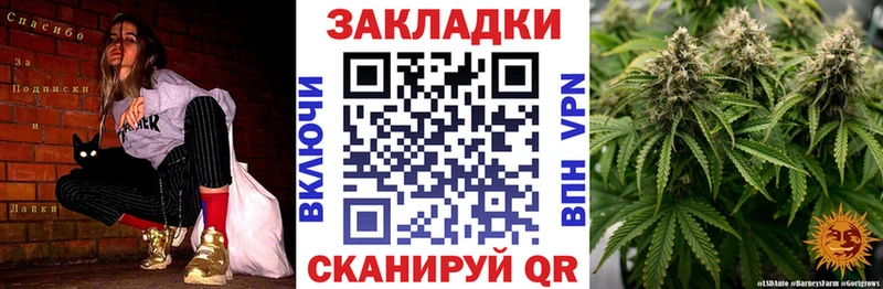 ГАШИШ Шенкурск