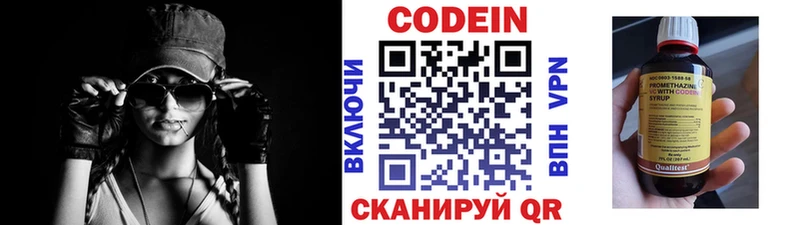 Купить закладки  Шенкурск  Кодеин Purple Drank 