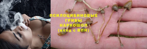 ГАЛЛЮЦИНОГЕННЫЕ ГРИБЫ Киреевск