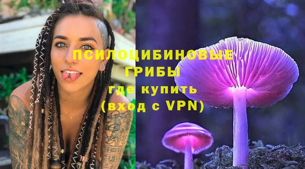 ГАЛЛЮЦИНОГЕННЫЕ ГРИБЫ Киреевск