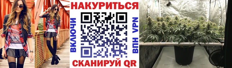Купить закладки  Шенкурск  Марихуана гибрид 